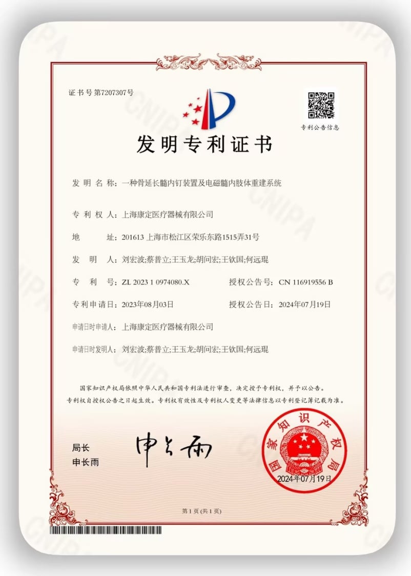 Patent for Intramedullary Reconstruction System